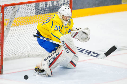 Sveriges Sebastian Trygg