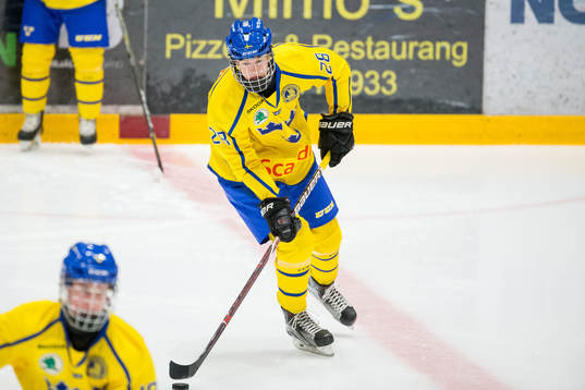 Sveriges Tim Alverhag