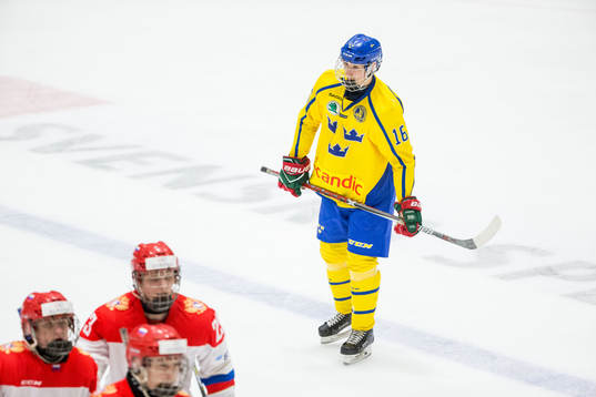 Sveriges Daniel Torgersson deppar