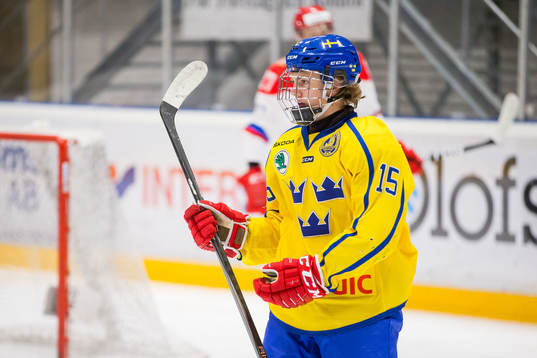 Sveriges Erik Hedlund