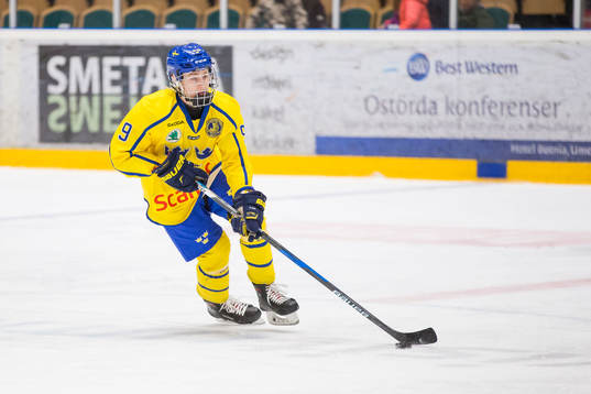 Sveriges Anton Johannesson