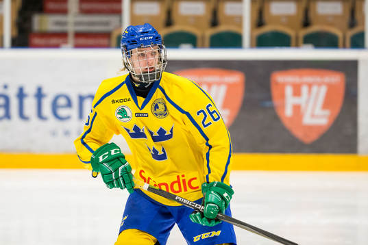 Sveriges Linus Lööf