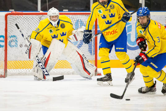 Sveriges Sebastian Trygg