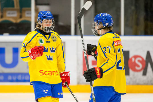 Sveriges Erik Hedlund och Sveriges Zion Nybeck