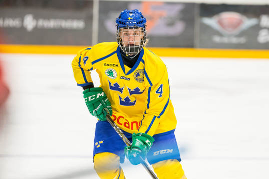 Sveriges Leo Lööf