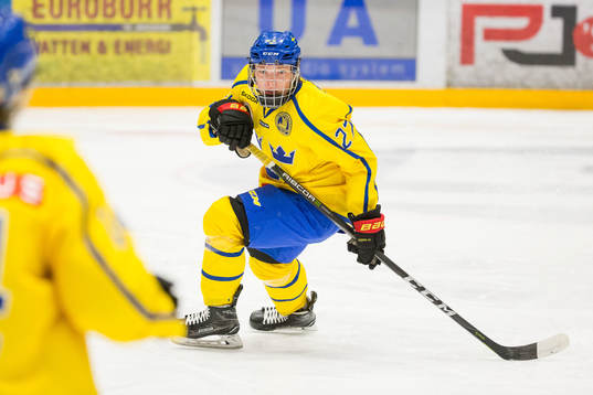 Sveriges Zion Nybeck