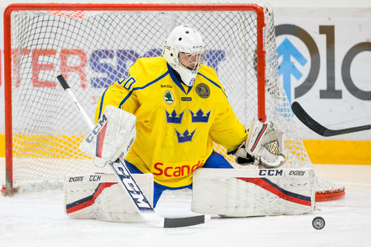Sveriges Sebastian Trygg