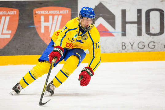 Sveriges William Hallen