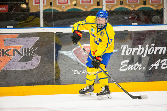 Sveriges Zion Nybeck