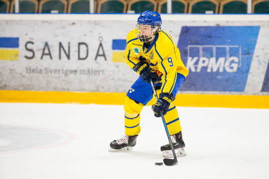 Sveriges Anton Johannesson