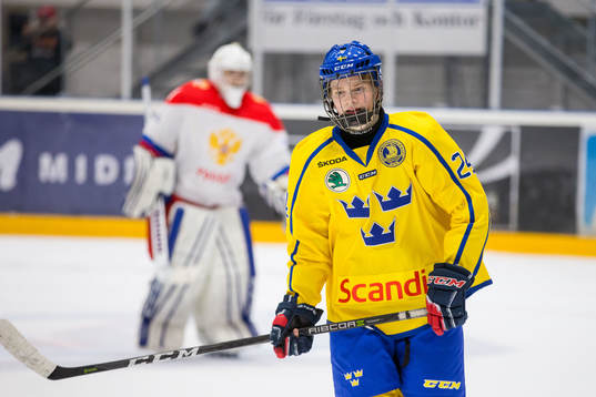 Sveriges Theodor Niederbach
