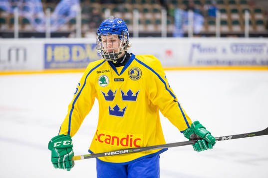 Sveriges Linus Lööf