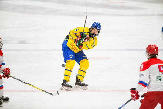 Sveriges Theo Nordlund