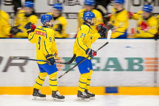 Sveriges Anton Johannesson och Theodor Niederbach jublar