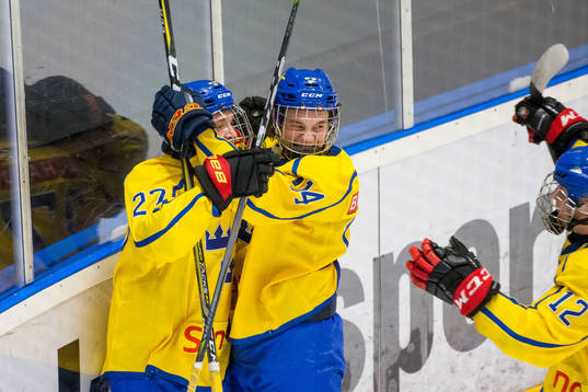 Sverige jublar