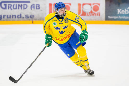 Sveriges Linus Lööf