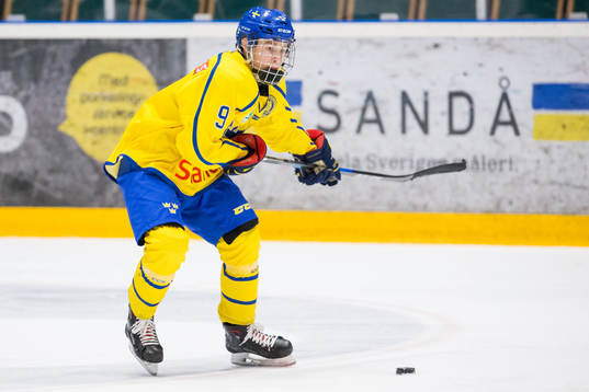 Sveriges Anton Johannesson
