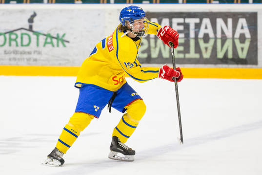 Sveriges Erik Hedlund
