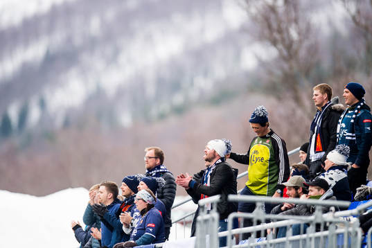 Supporters of Viking