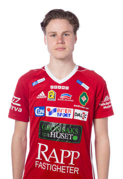 Skövdes Gustaf Norlin