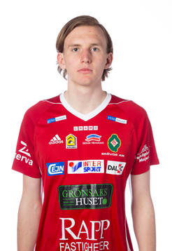 Skövdes Emil Ring