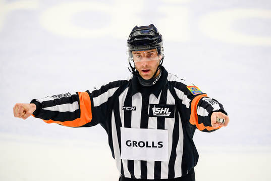 Domare Mikael Sjöqvist