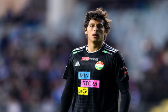 Dalkurds Ahmad Awad