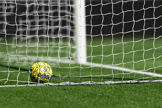 Fotbollar i målet