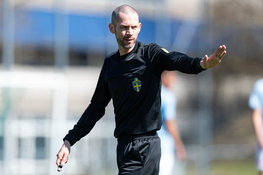 Domare Johan Seger