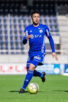 Sundsvalls Romain Gall
