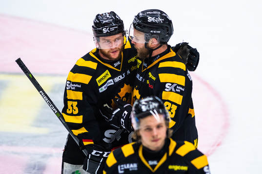 Skellefteås Sebastian Ohlsson och Mark Katic deppar