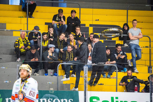 Skellefteås supportrar deppar
