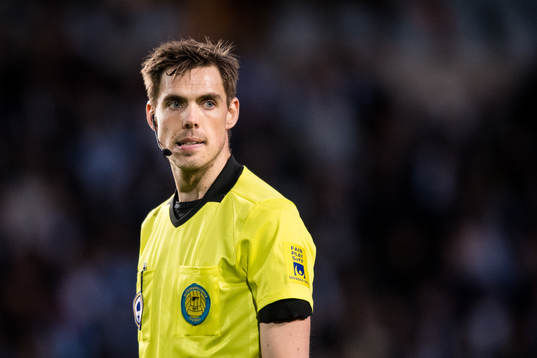 Domare Magnus Lindgren