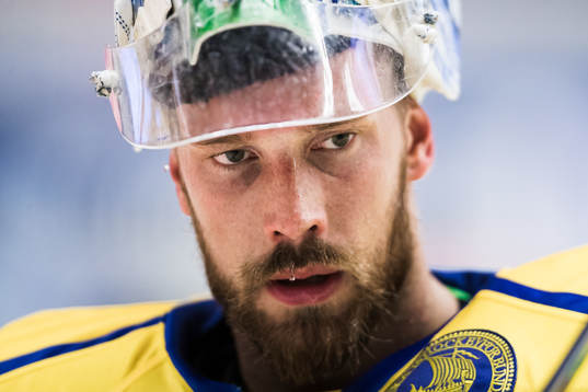 Sveriges målvakt Anders Nilsson