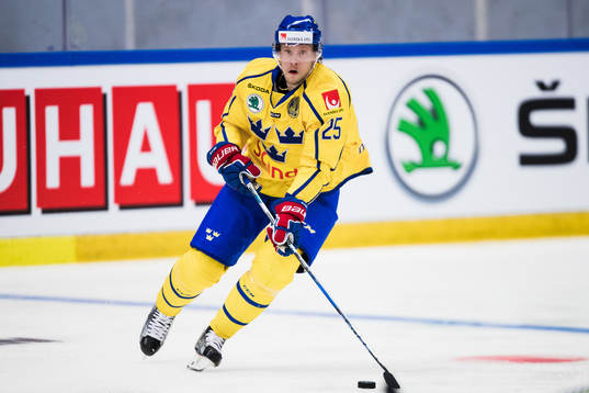 Sveriges Jacob de la Rose