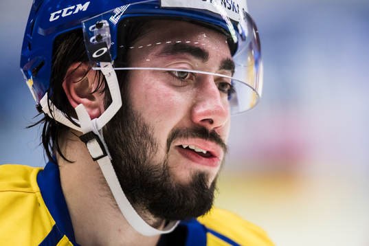Sveriges Mika Zibanejad