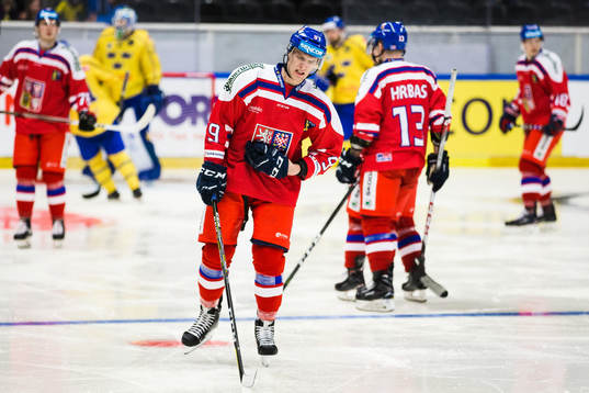 Tjeckiens  David Sklenicka deppar