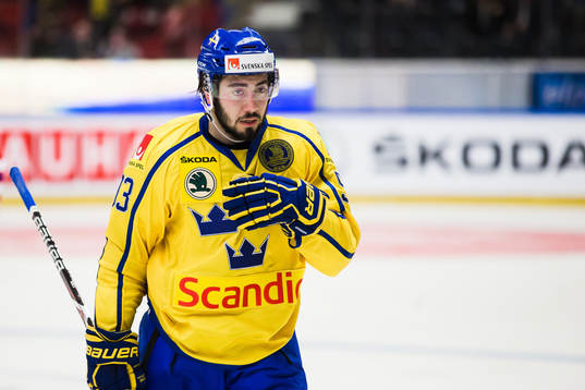 Sveriges Mika Zibanejad deppar
