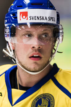 Sveriges Jacob de la Rose