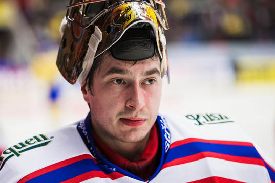 Tjeckiens målvakt David Rittich