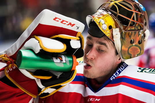 Tjeckiens målvakt David Rittich