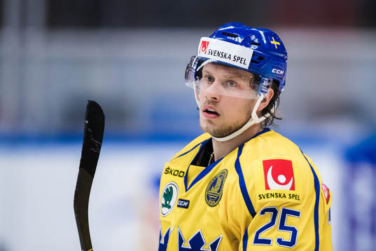 Sveriges Jacob de la Rose