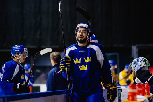 Mika Zibanejad