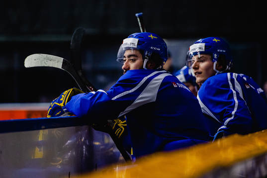 Mika Zibanejad och Lias Andersson