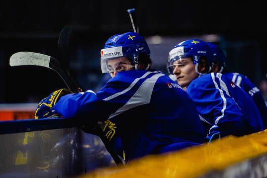 Mika Zibanejad och Lias Andersson