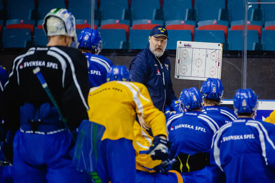 Förbundskapten Rikard Grönborg