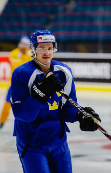 Mattias Janmark