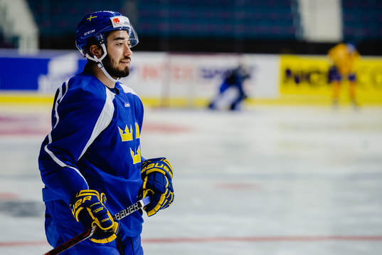 Mika Zibanejad