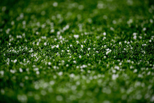 Hail in the grass