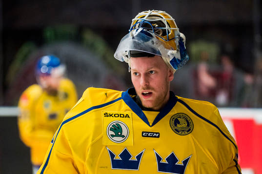 Sveriges målvakt Magnus Hellberg